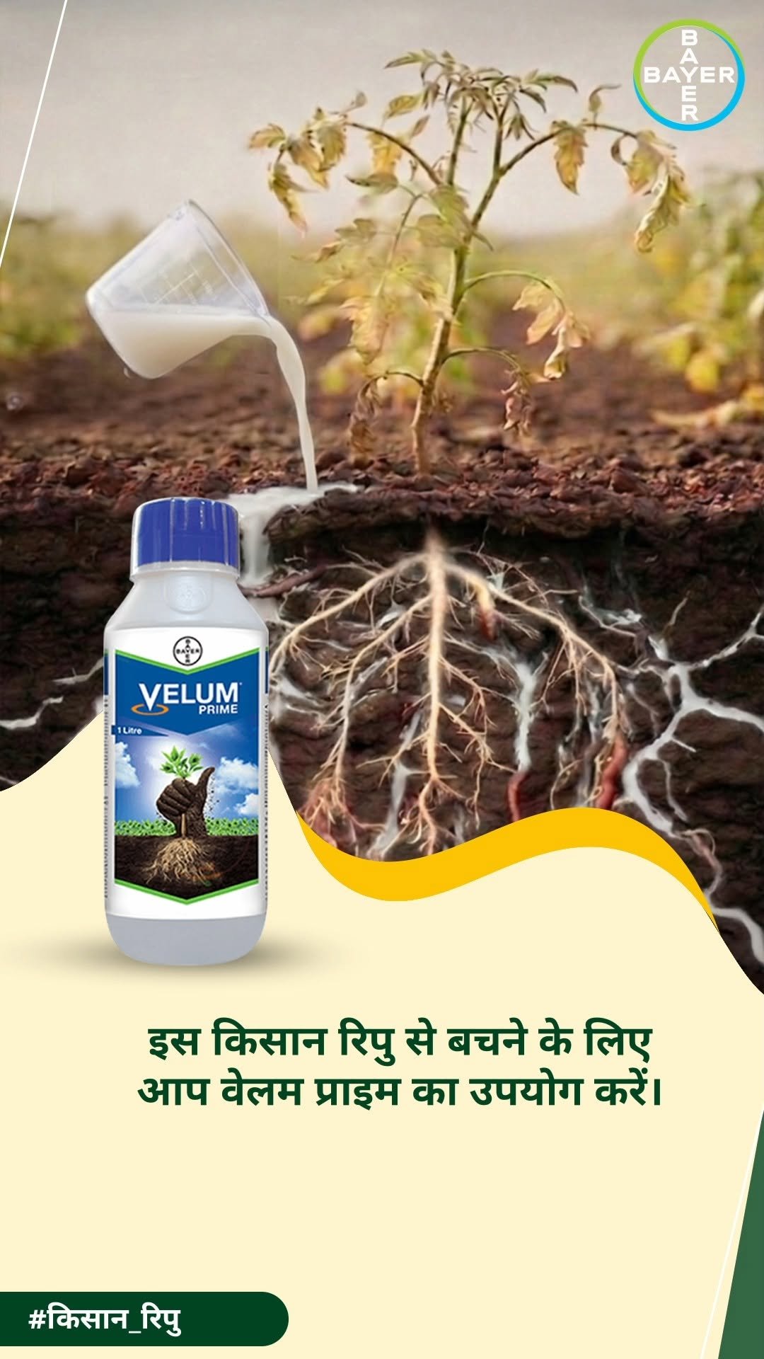 bayercropscienceindia 게시물 이미지: अदृश्य दुश्मनों पर प्रभावी नियंत्रण पाने का...