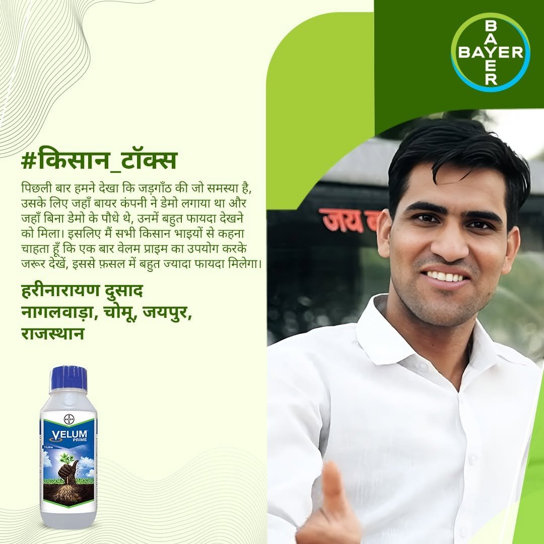 bayercropscienceindia 게시물 이미지: टमाटर के पौधे में होने वाले अदृश्य नेमाटोड...