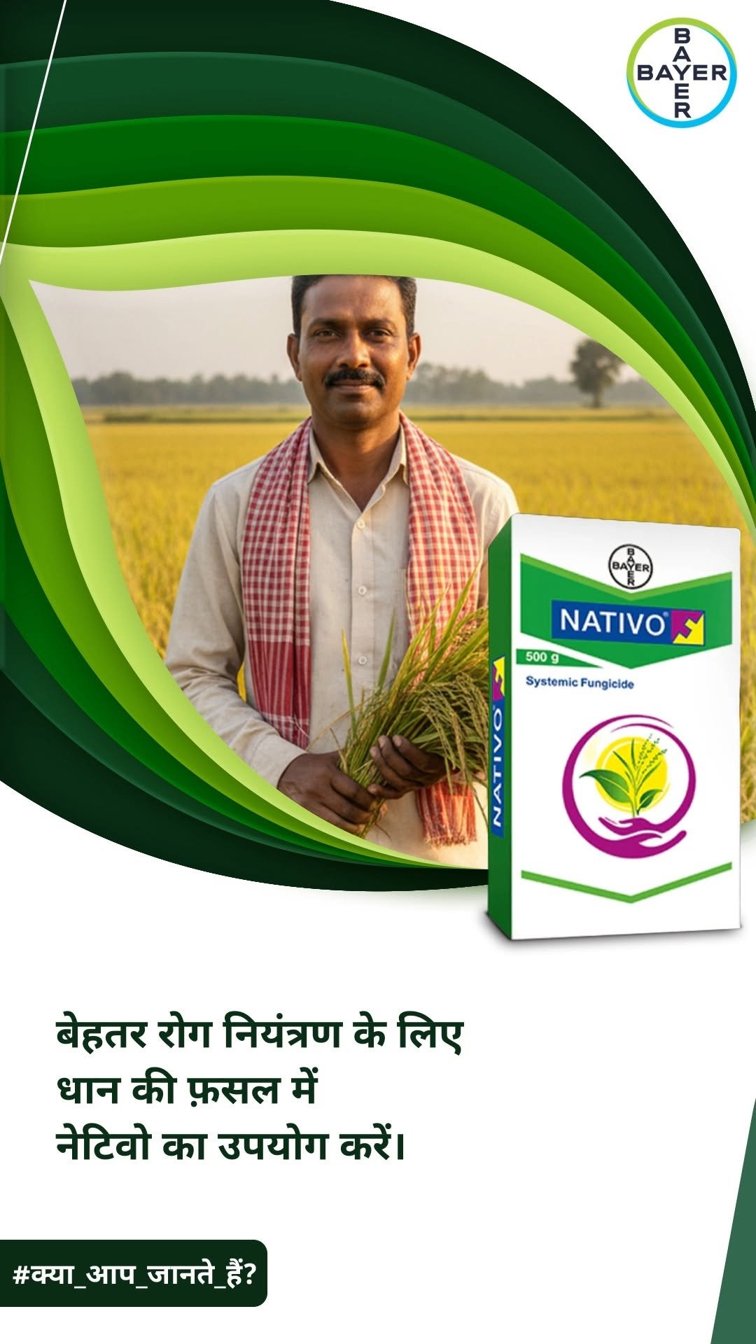 bayercropscienceindia 게시물 이미지: धान को गंदी बाली के प्रकोप से बचाने का प्रभावी...