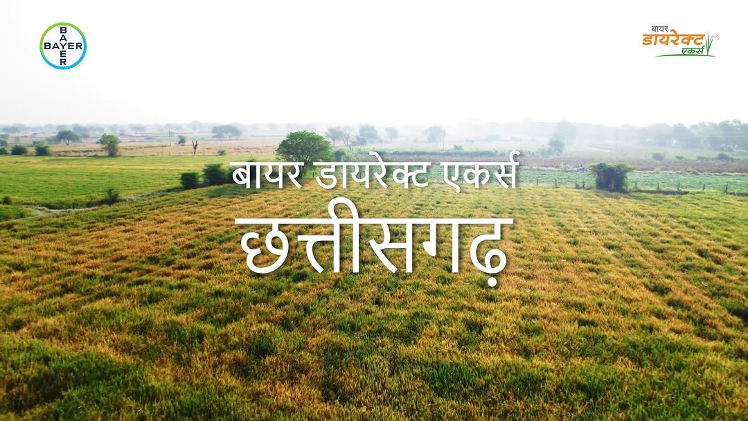 bayercropscienceindia 게시물 이미지: धान की सीधी बुवाई में बायर डायरेक्ट एकर्स दे...