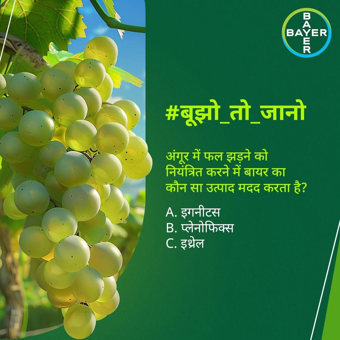 bayercropscienceindia 게시물 이미지: अगर आप सही उत्पाद का नाम जानते हैं तो अभी...