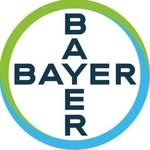 bayercareer 프로필 사진