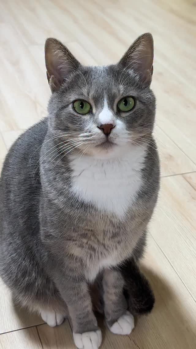 bb_meonji 게시물 이미지: #광고🎁

🌟패스룸 슈퍼 스퀴즈 트릿스틱🌟

30g의 슈퍼 용량으로 먼지뚱땡이라...