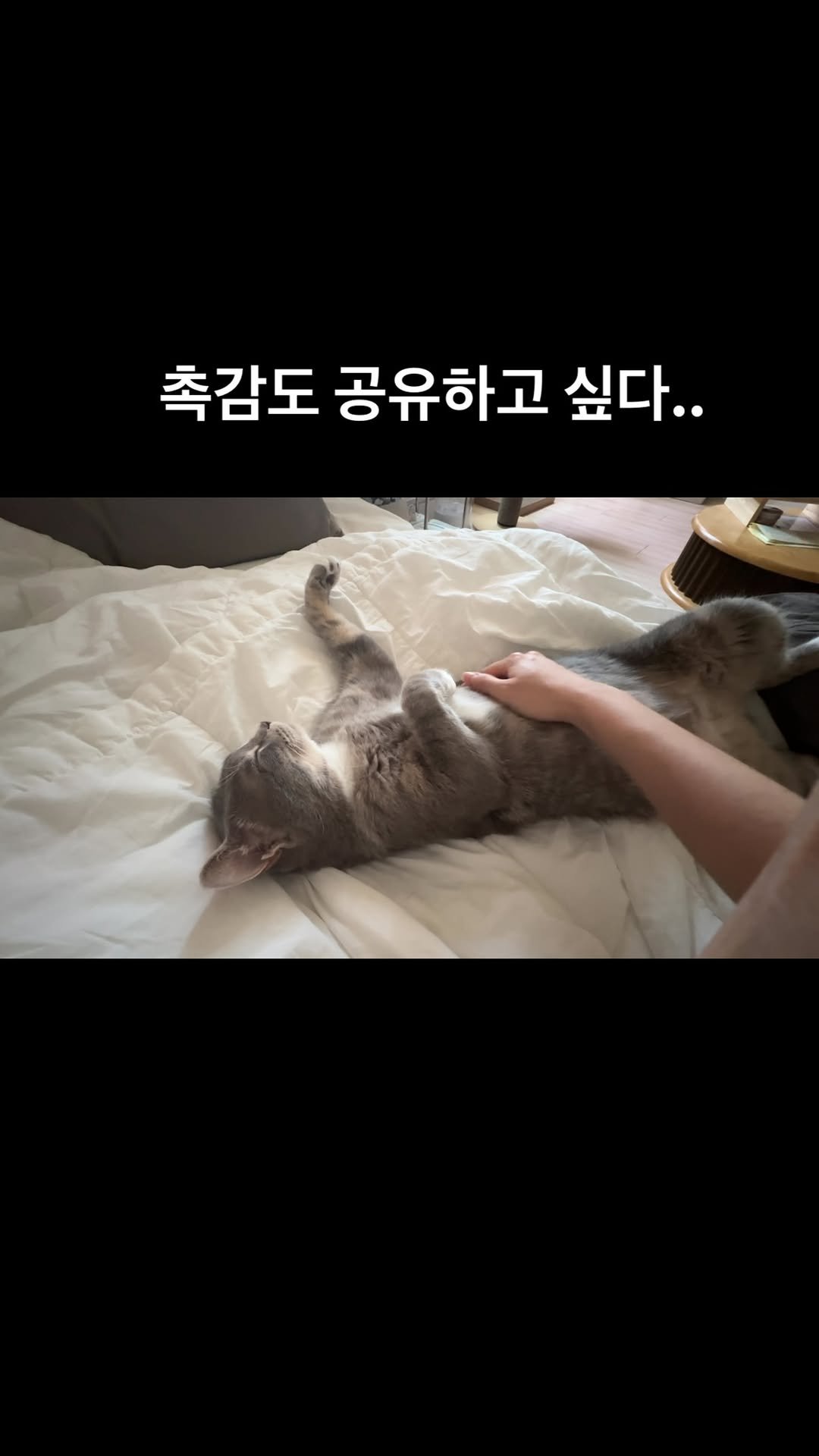 bb_meonji 게시물 이미지: 다음생엔 조먼지로 태어나자 📝