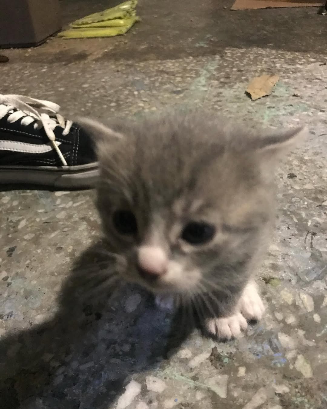 Photo by 이불왕자 조먼지 on December 15, 2023.