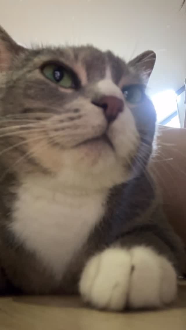 bb_meonji 게시물 이미지: 월요일 누가만드러써,,🤮