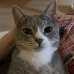 bb_meonji 인스타그램 프로필 사진