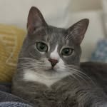 bb_meonji 인스타그램 프로필 사진