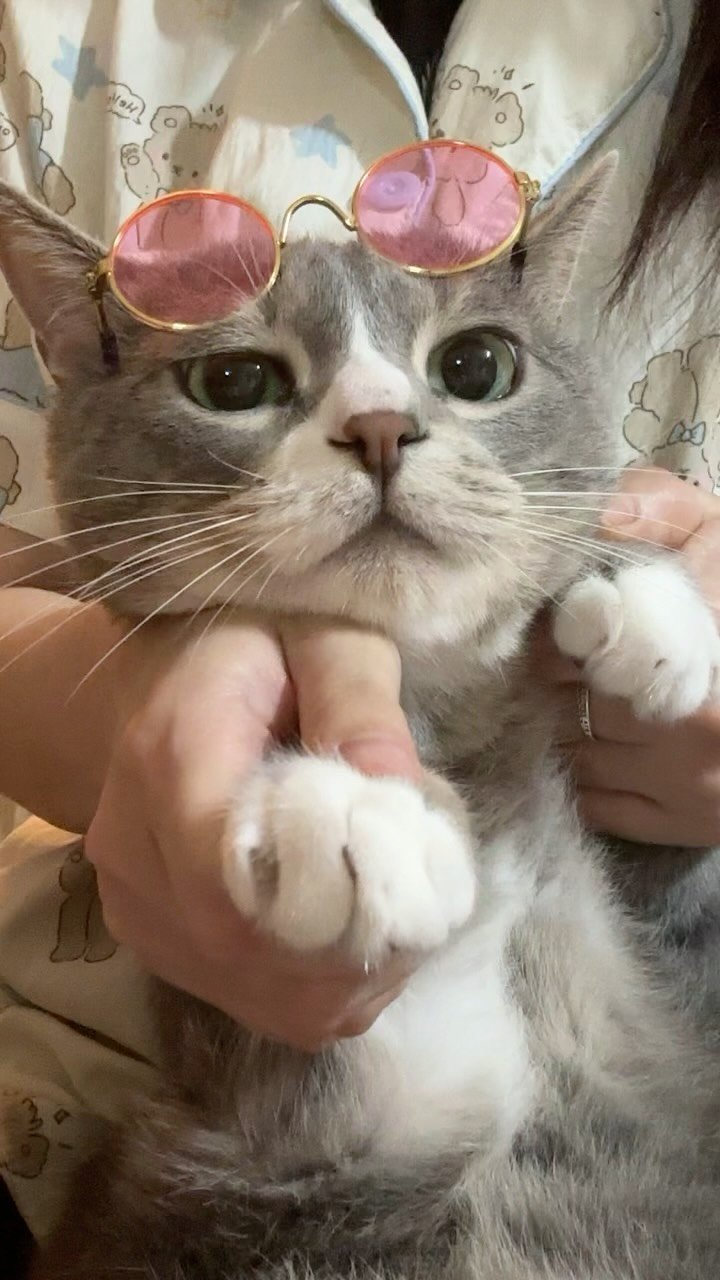 bb_meonji 게시물 이미지: 아쒸..어렵네..