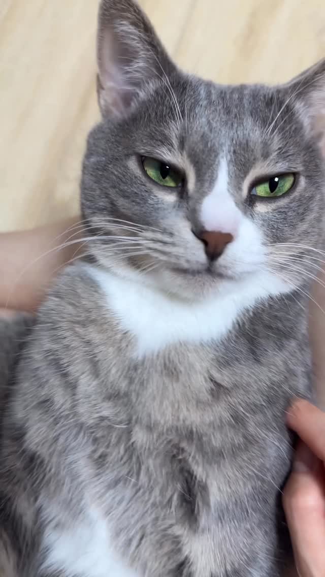 bb_meonji 게시물 이미지: 앙 (*’ω‘*) 🤍