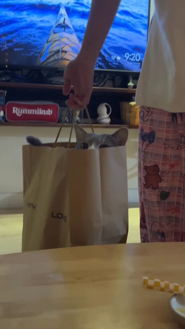 bb_meonji 게시물 이미지: 까칠해서 이모들이 안사감 👾