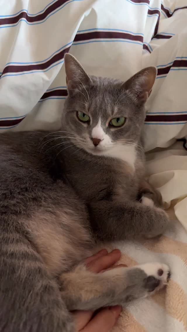 bb_meonji 게시물 이미지: 심장 조심하세욧🫀