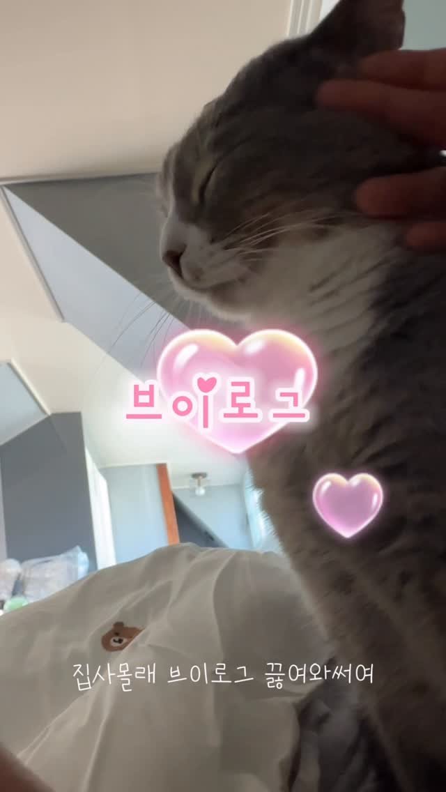 bb_meonji 게시물 이미지: ❣️🐥❣️