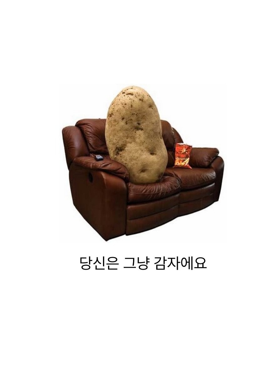 Photo by 빼콩ㅣ굿생• 부수입• 자기계발 on July 24, 2025. May be an image of sofa, armchair, beanbag chair, potato, recliner and text that says '당신은 그냥 감자에요'.