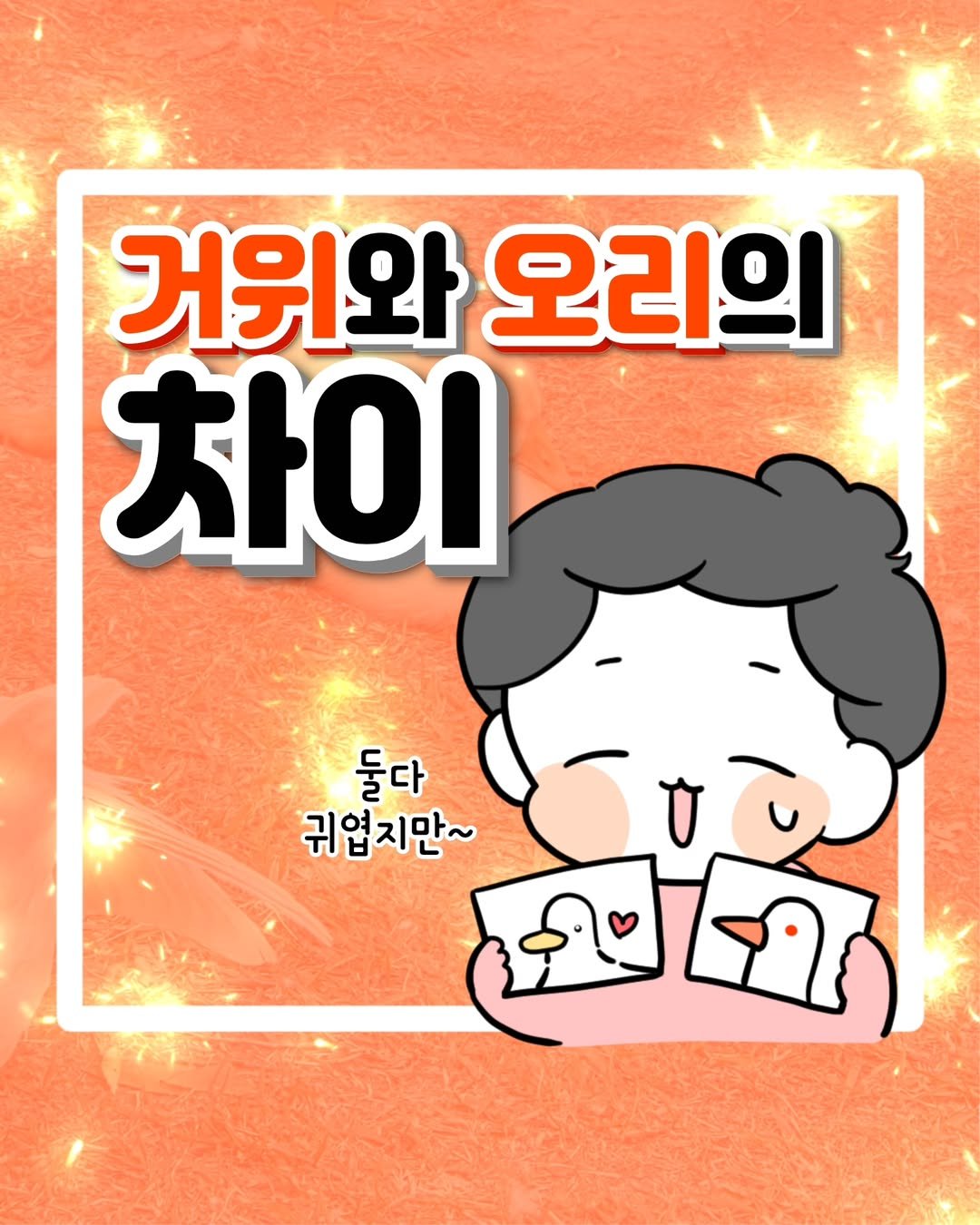 Photo by 윤찐빵 | 과학고 생존일지👩🔬 on August 05, 2025. May be an illustration of card and text that says '거위와 오리의 차이 둘다 귀엽지만~ ل'.