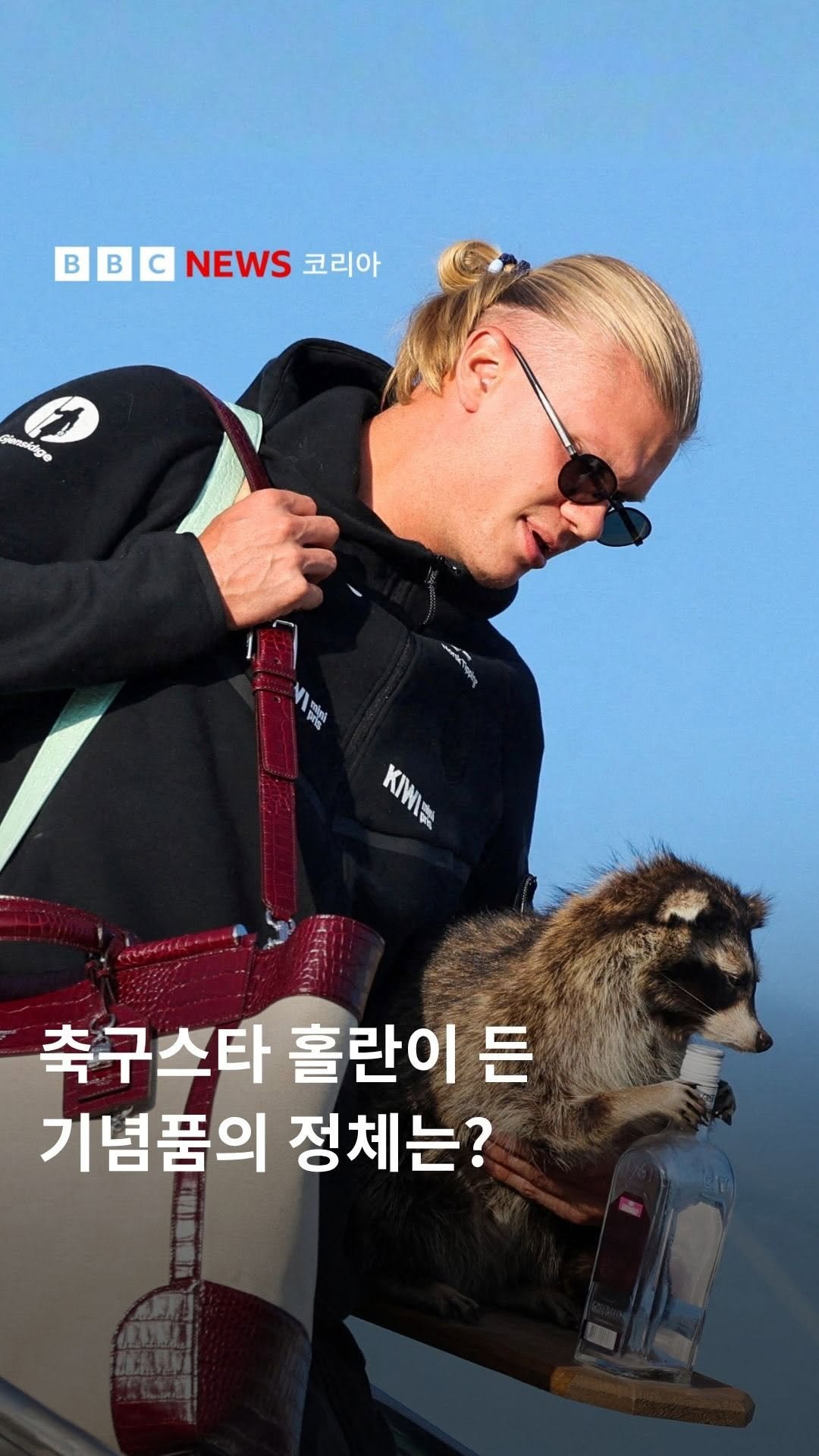bbcnewskorean 게시물 이미지: 노르웨이의 축구 스타 엘링 홀란이 위스키를 든 박제 라쿤을 안고 귀국하는 모습이...