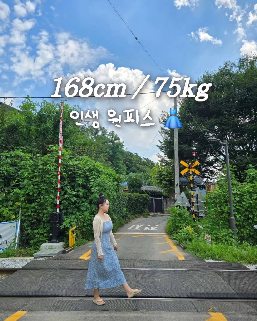 Photo shared by 뽀이어트 ㅣ 95kg 출신 다이어트 * 체형 꿀팁 on August 02, 2025 tagging @loulou.seoul. May be an image of 1 person, pie, dress, baby's-breath, outdoors and text that says '168cm 168cm/75kg /75kg 이새 원피스 M屋'.