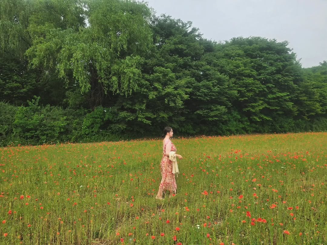 bboiet 게시물 이미지: 서울 근교 제주도 느낌 나는 양귀비 꽃밭 공유

요즘 너무 제주도 릴스만 올린대서...