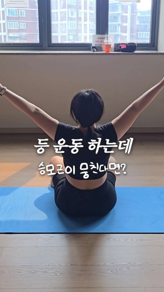 bboiet 게시물 이미지: 등 운동을 하려는데 승모근이 뭉친다면...?

올데이프로젝트 타잔 멋지지......