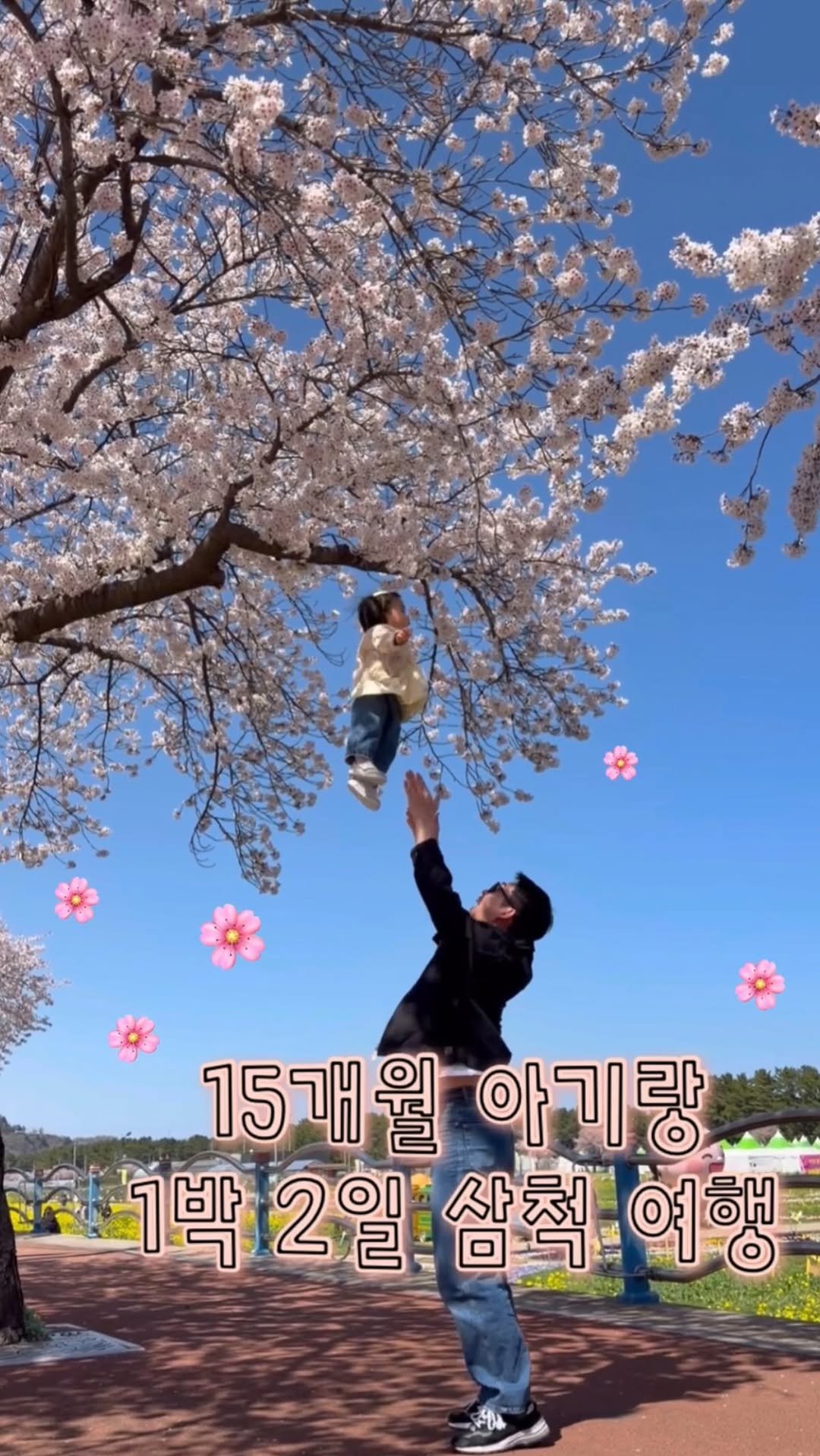 bbomini__v 게시물 이미지: #15개월아기랑 1박2일 꽃놀이 여행🎶
저희 가족은 이번에 삼척으로...