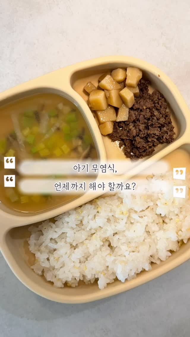 bbomini__v 게시물 이미지: #공구예고

아기 무염식, 언제까지 해야 할까요?

돌 지나고 가장 고민했던 게
곧...