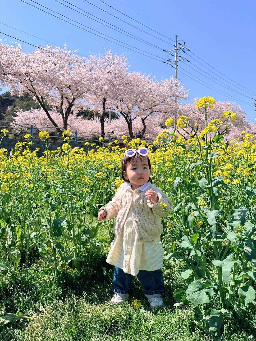 Photo by 💖뽀zip💖 on April 08, 2026. May be an image of flower and text.