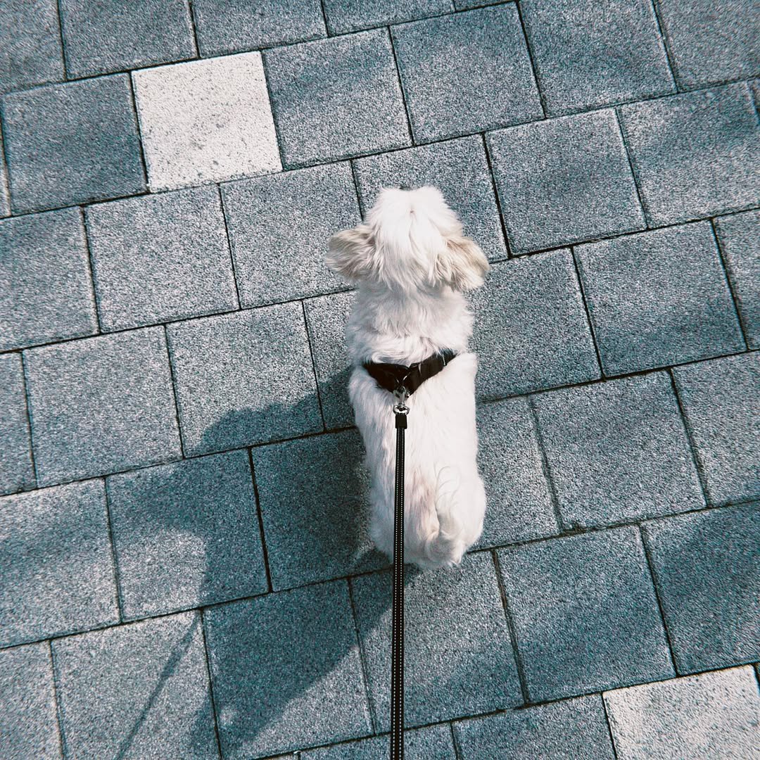 Photo by 뿅글이 on March 23, 2025.