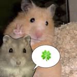 kim.chiik 프로필 사진