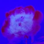 be4eunhyuk 인스타그램 프로필 사진