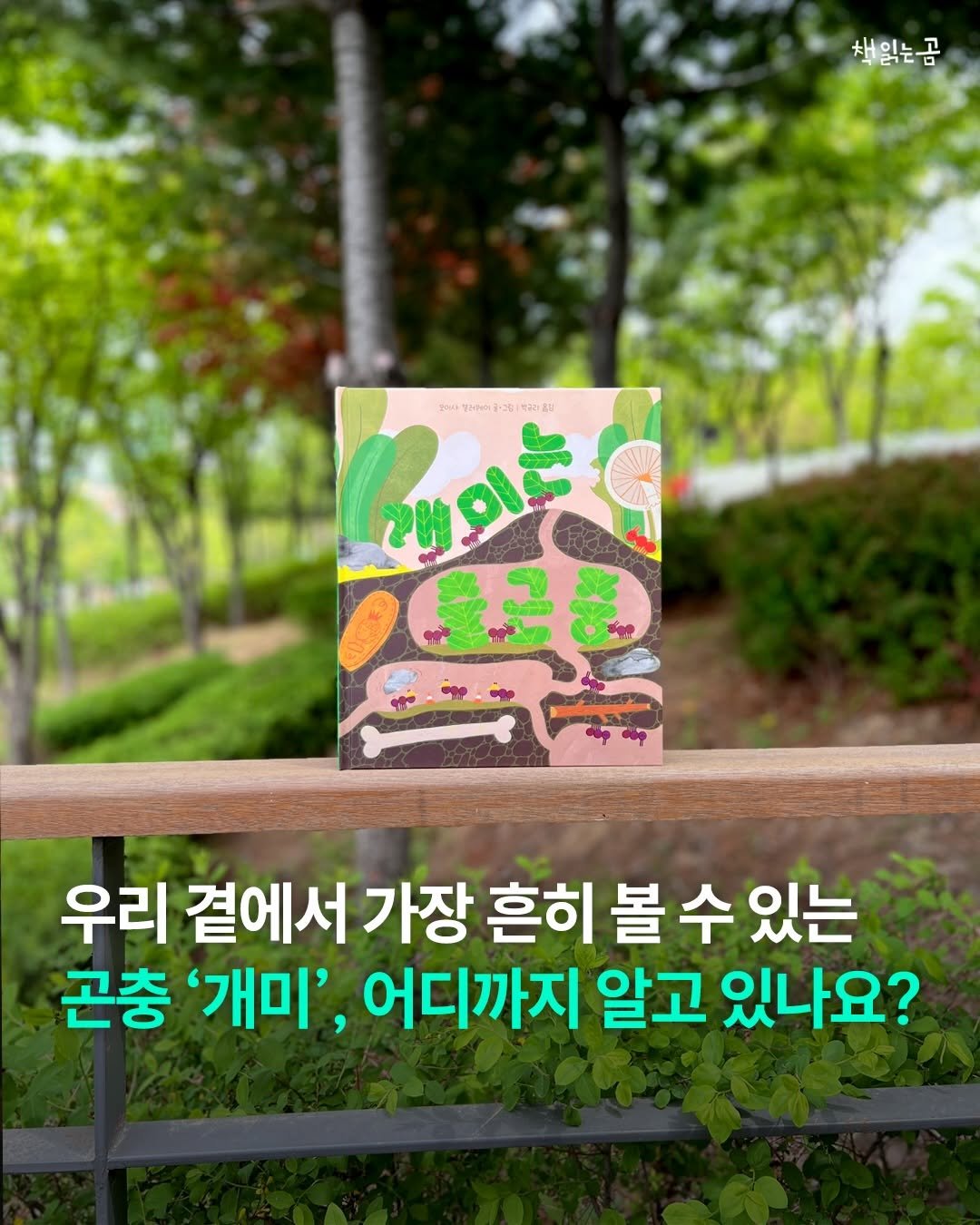 Photo by 책읽는곰 on April 21, 2026. May be an illustration of book and text.