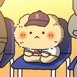 bears.zzal 프로필 사진