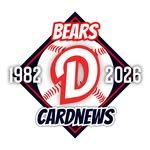 bears_cardnews 인스타그램 프로필 사진