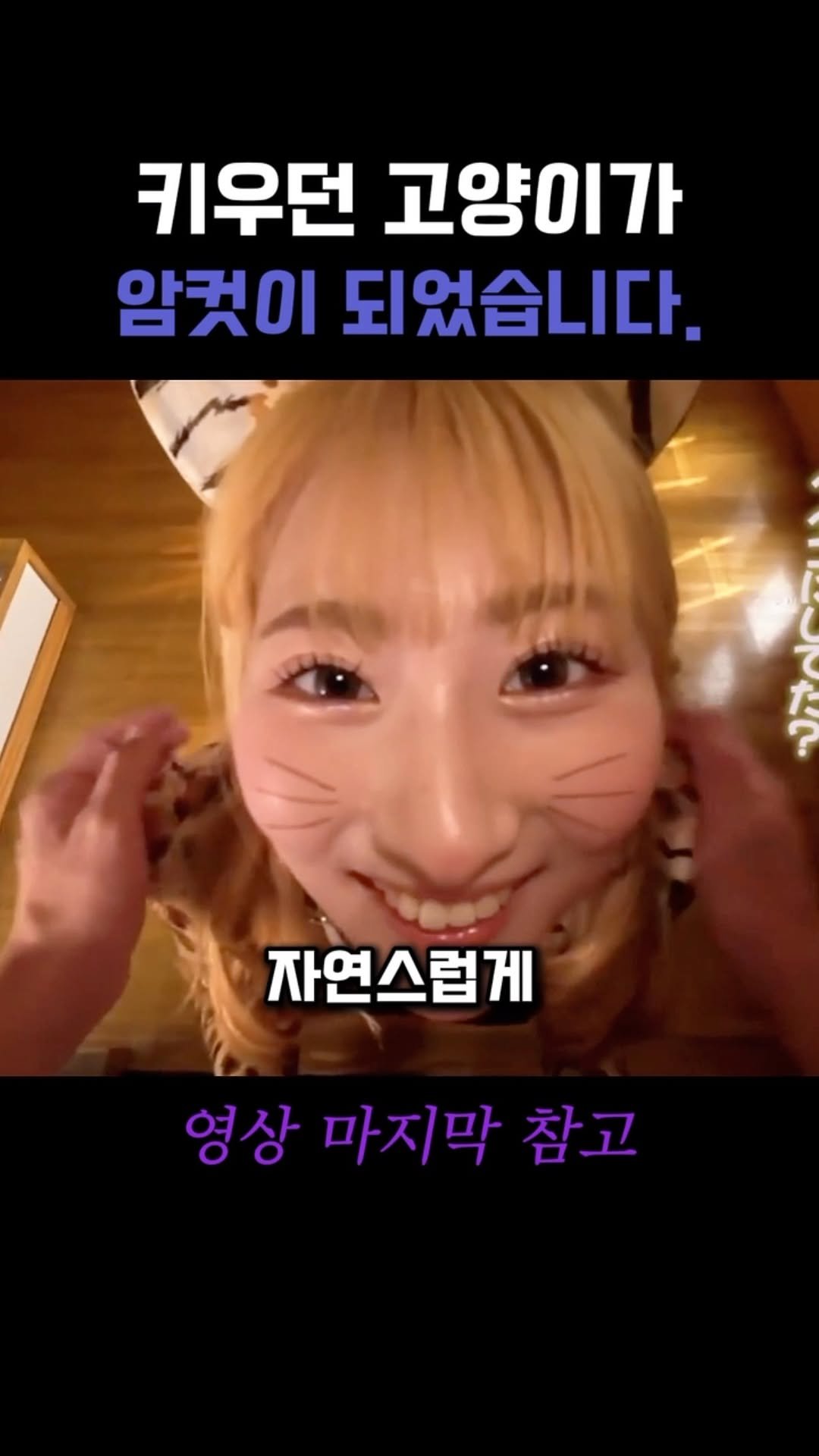 beastkingdomkorea 게시물 이미지: 큰냥이 야옹