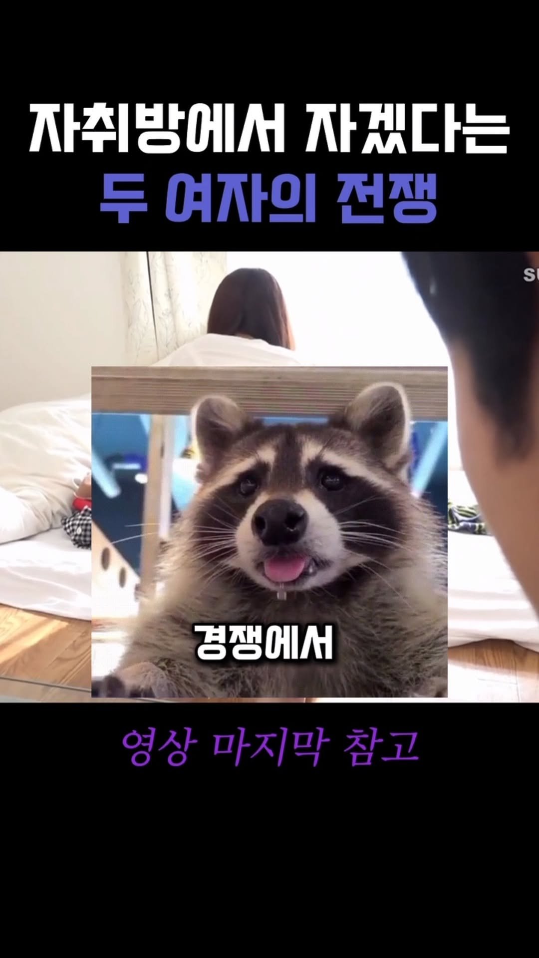 beastkingdomkorea 게시물 이미지: 1+1 행사