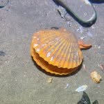 yaolangou 프로필 사진