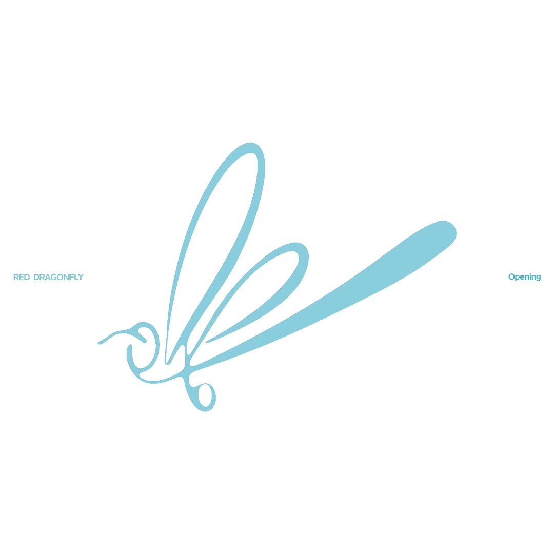 Photo by 뷰티풀너드 on September 24, 2025. May be a doodle of dragonfly and text that says 'RED DRAGONFLY Opening'.