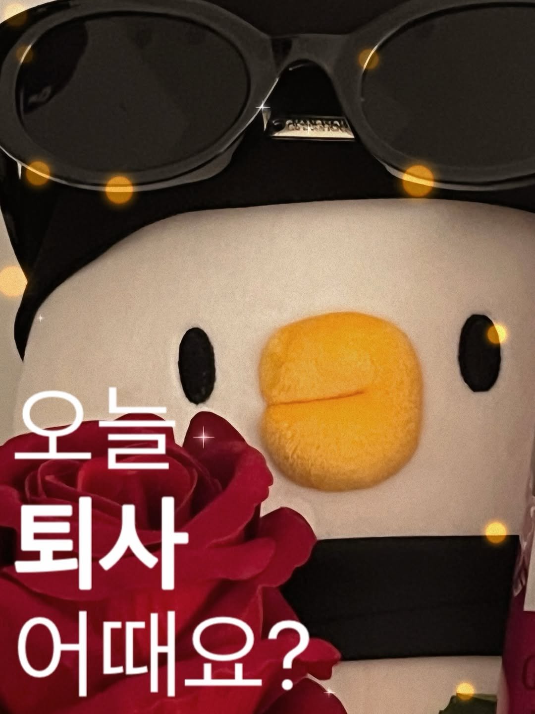 Photo by 베베 | 베베더오리 on February 09, 2026. May be an image of penguin, eyeglasses, baby's-breath and text.