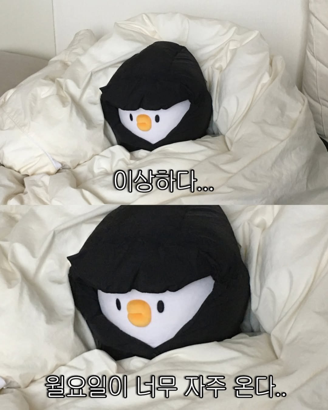Photo by 베베 | 베베더오리 on November 30, 2025. May be an image of emperor penguin, duffle coat, beanbag chair, blanket and text that says '이상하다... 월요일이 너무 자주 온다..'.