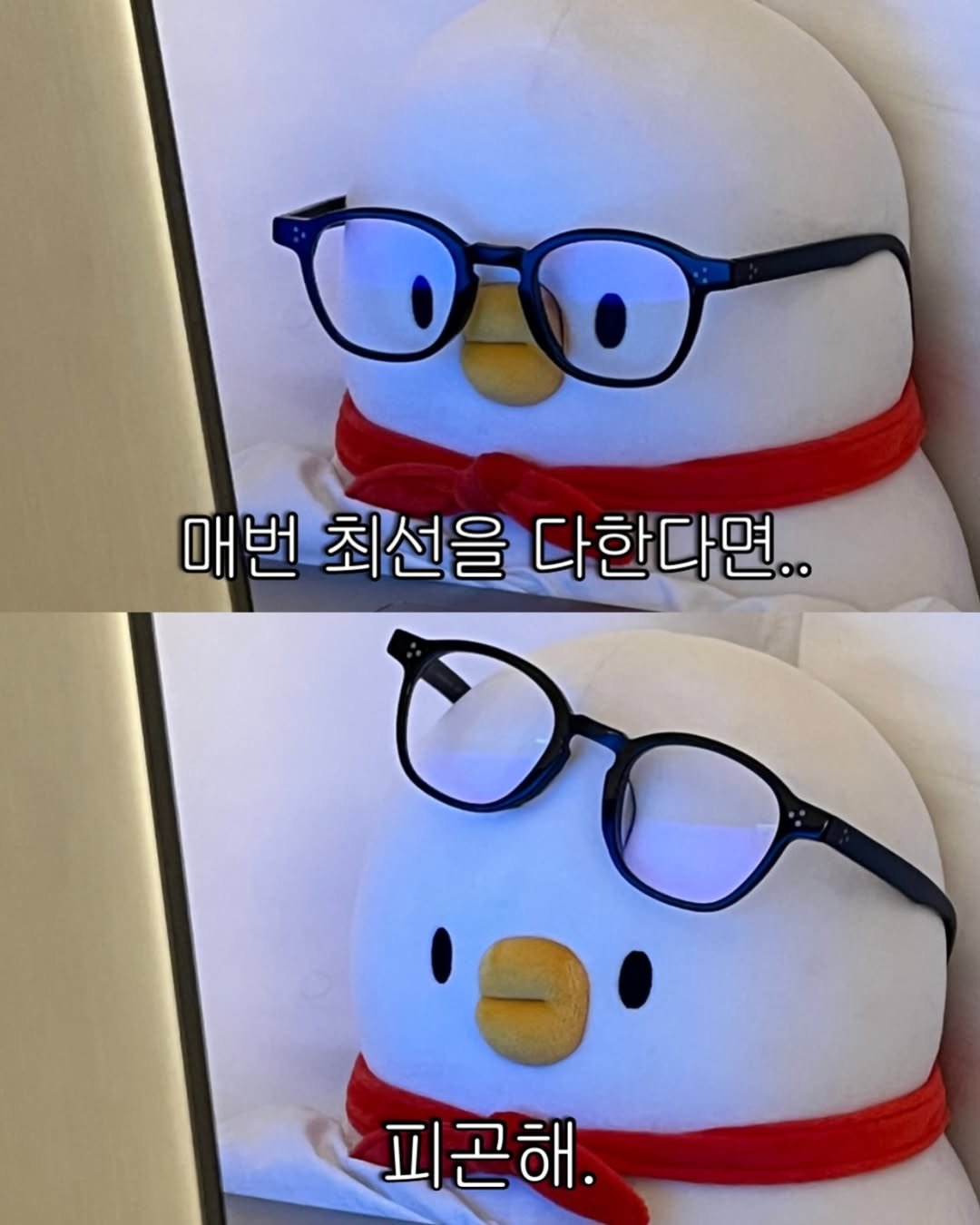 Photo by 베베 | 베베더오리 on September 25, 2025. May be a meme of penguin, eyeglasses and text that says '0o 매번 최선을 다한다면.. 피곤해.'.