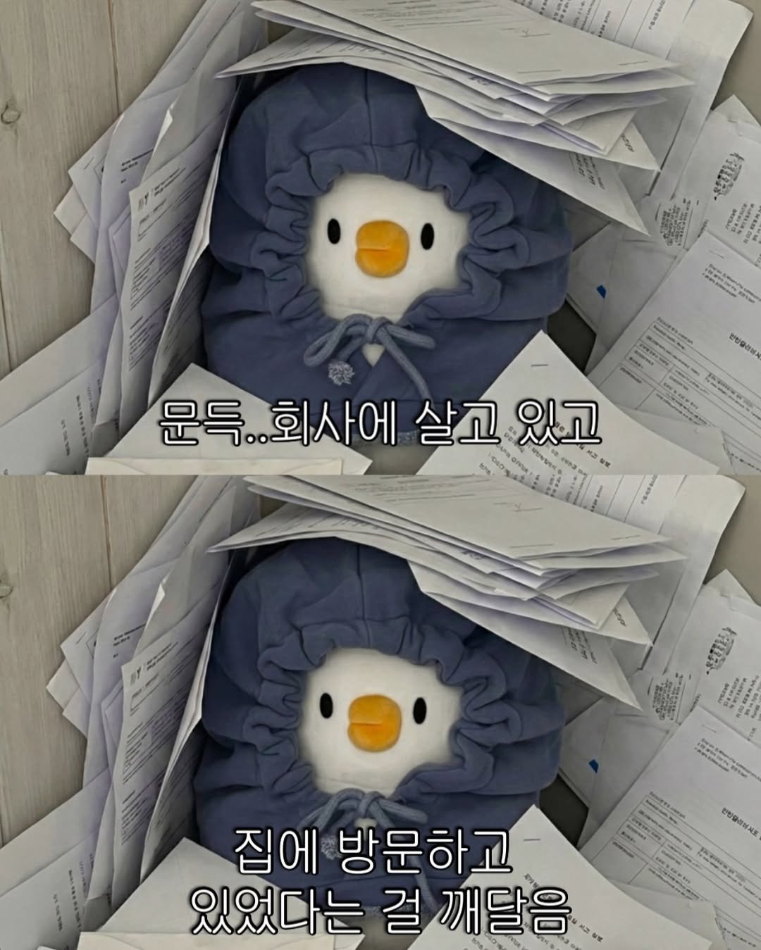 Photo by 베베 | 베베더오리 on January 15, 2026. May be a cartoon of text.