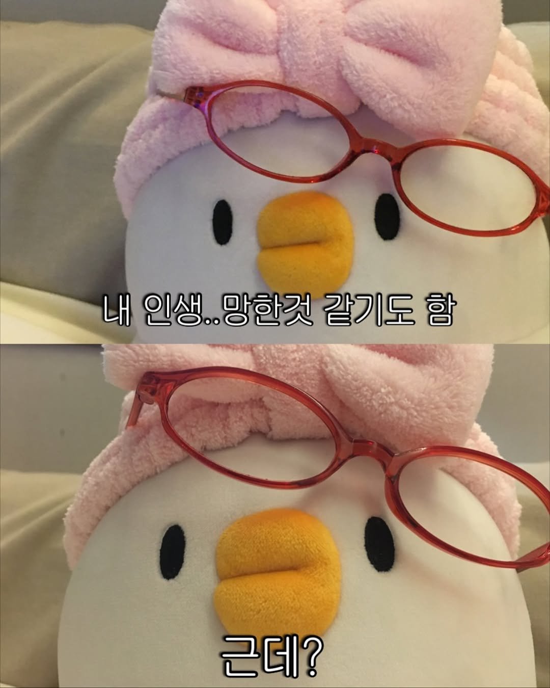 Photo by 베베 | 베베더오리 on November 07, 2025. May be an image of penguin, eyeglasses and text that says '내 인생. 망한것 같기도 함 근데?'.