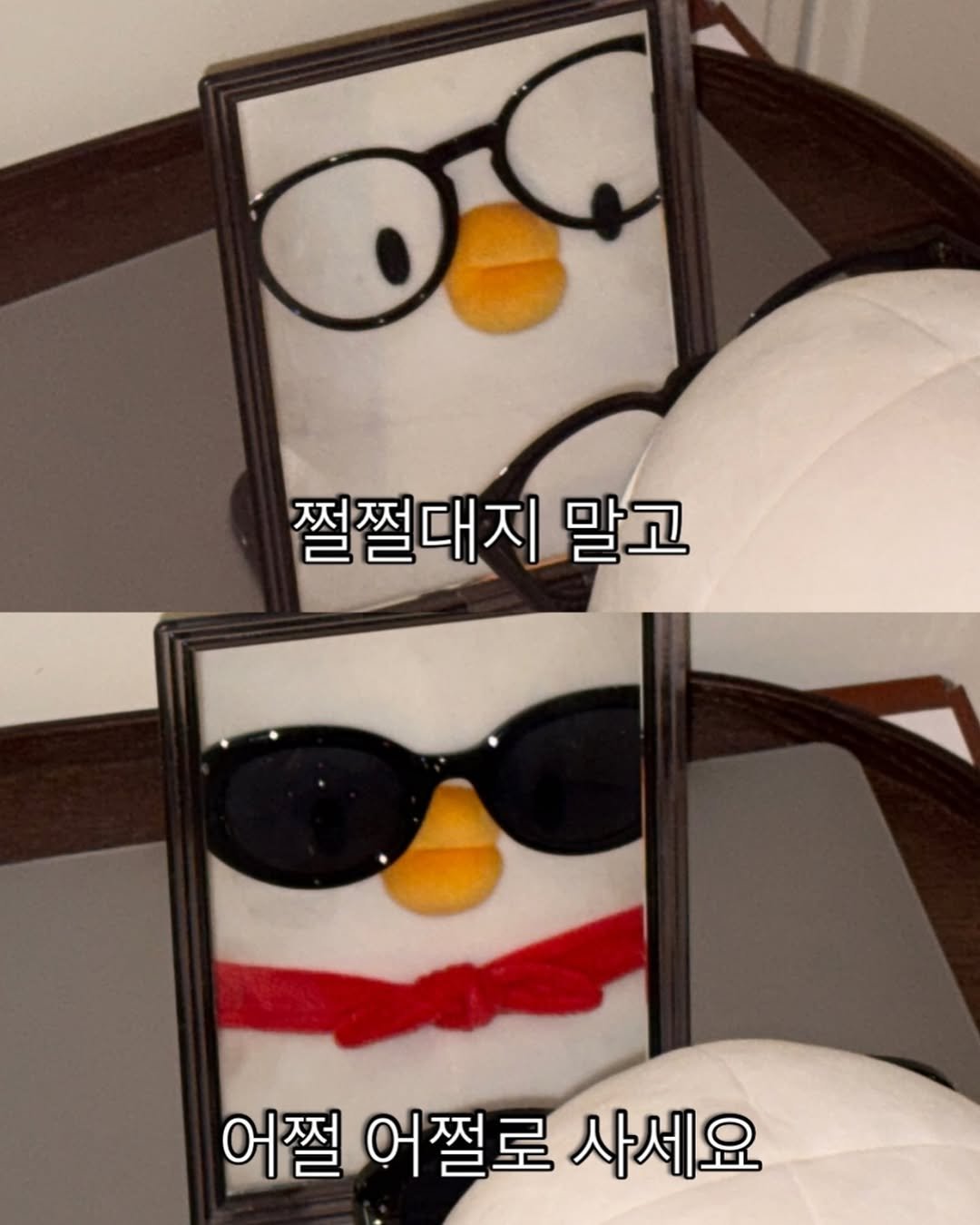Photo by 베베 | 베베더오리 on September 17, 2025. May be an image of ‎emperor penguin, eyeglasses and ‎text that says '‎من 쩔쩔대지 말고 어쩔 어쩔로 사세요‎'‎‎.