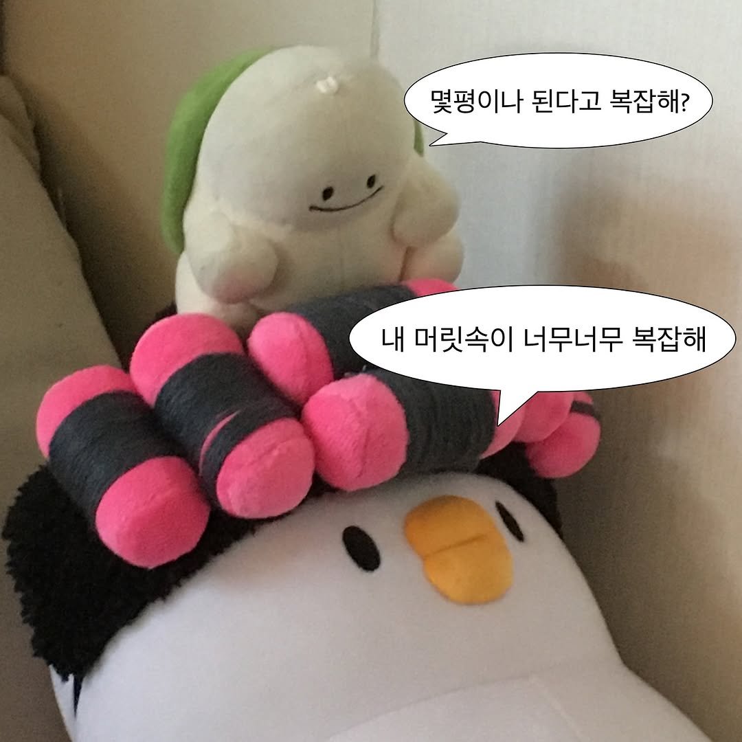 Photo by 베베 | 베베더오리 on July 24, 2025. May be an image of emperor penguin, toy, beanbag chair and text that says '몇평이나 된다고 복잡해? 복잡해? 내 머릿속이 너무너무 복잡해'.