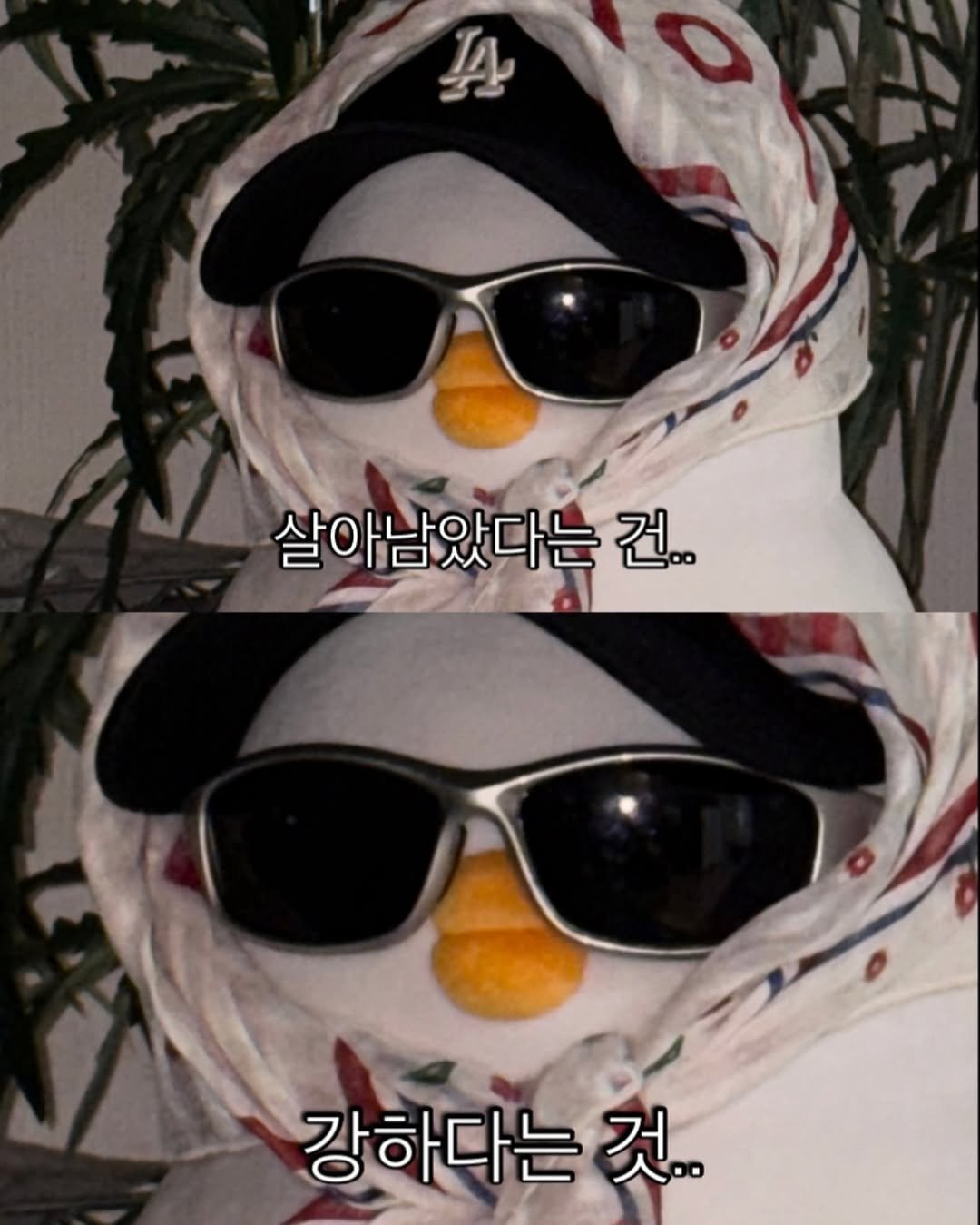 Photo by 베베 | 베베더오리 on August 12, 2025. May be an image of 2 people, penguin, duffle coat, hat and text that says 'IA 살아남았다는 건.. 강하다는 것..'.