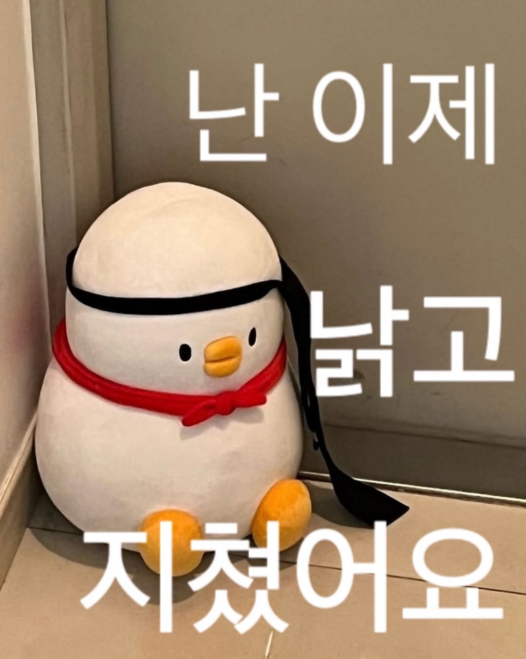 bebe_the_ori 게시물 이미지: 꽥...
