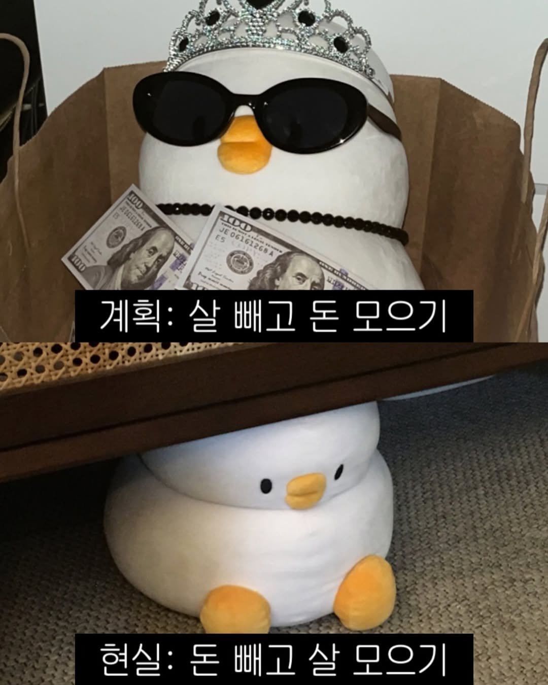 Photo by 베베 | 베베더오리 on September 09, 2025. May be an image of penguin and text.