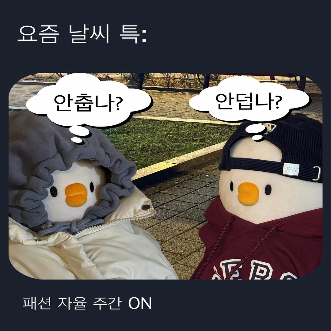 Photo by 베베 | 베베더오리 on October 31, 2025. May be an image of penguin, duffle coat, goosedown coat and text.