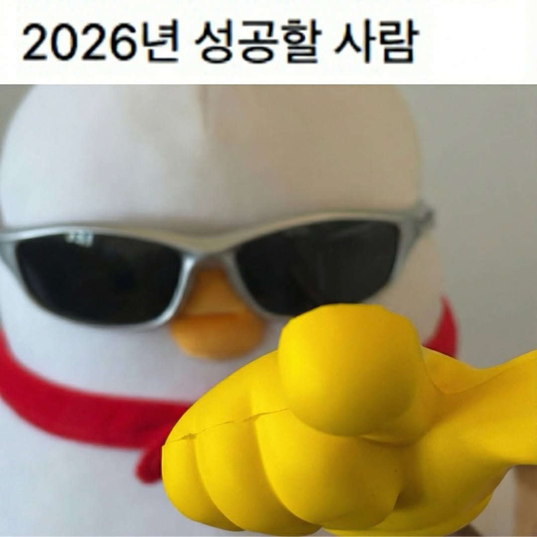 Photo by 베베 | 베베더오리 on December 31, 2025. May be an image of penguin, toy and text that says '2026년 성공할 사람'.