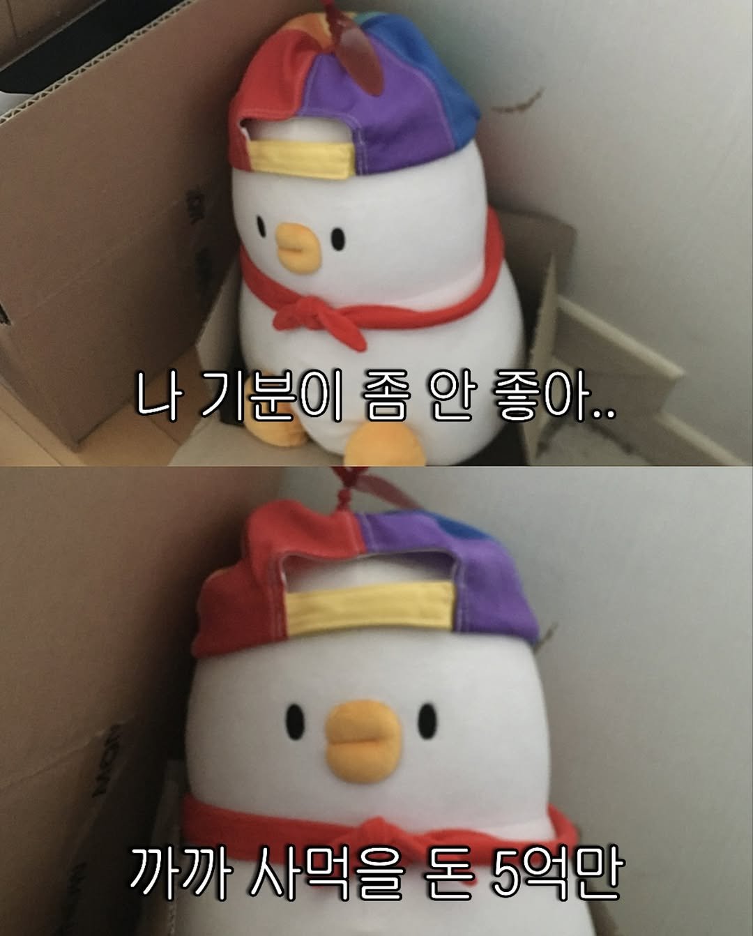 bebe_the_ori 게시물 이미지: 친구 친구야