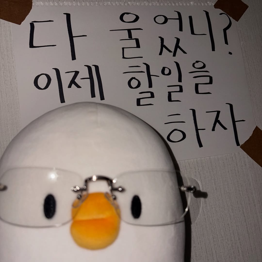 bebe_the_ori 게시물 이미지: 아직 덜 울었는데요